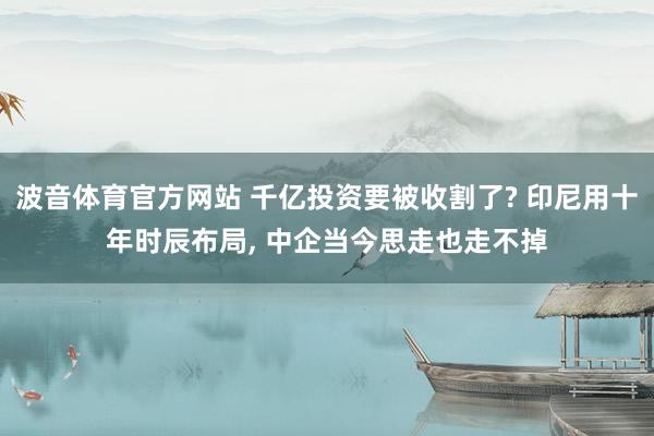 波音体育官方网站 千亿投资要被收割了? 印尼用十年时辰布局， 中企当今思走也走不掉