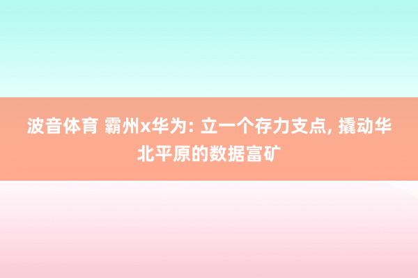 波音体育 霸州x华为: 立一个存力支点， 撬动华北平原的数据富矿
