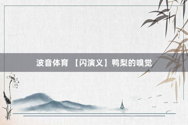 波音体育 【闪演义】鸭梨的嗅觉