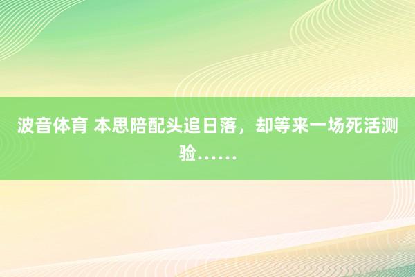 波音体育 本思陪配头追日落，却等来一场死活测验……