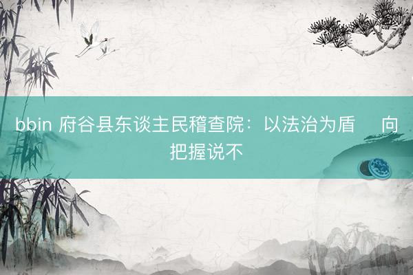bbin 府谷县东谈主民稽查院：以法治为盾　 向把握说不