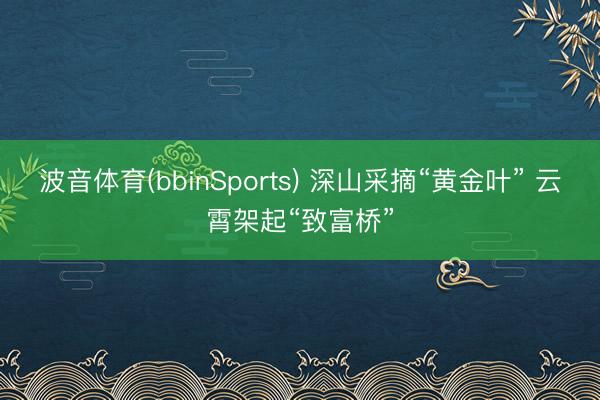 波音体育(bbinSports) 深山采摘“黄金叶” 云霄架起“致富桥”